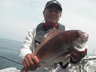 madai1