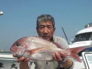 madai6