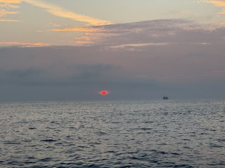 IMG_5911
